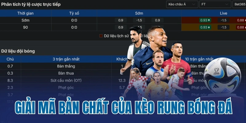 Giải mã bản chất của kèo rung bóng đá