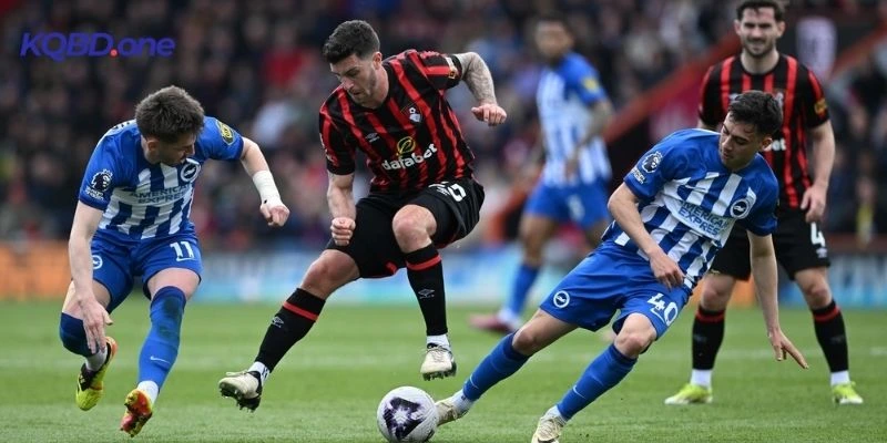 Đánh giá phong độ cặp đấu Brighton vs Bournemouth