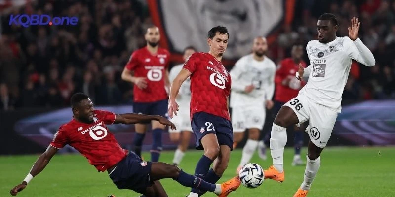 Thành tích qua các vòng đấu của Crvena zvezda vs Lille