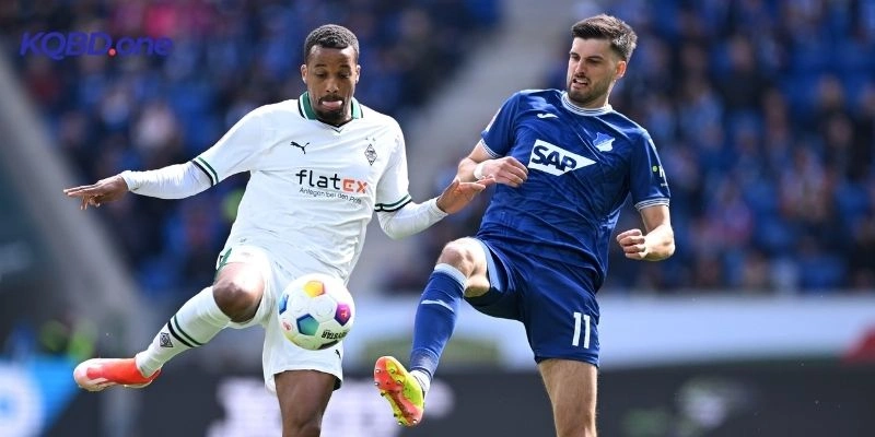 Phong độ Hoffenheim vs Mainz 05